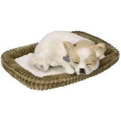 Interaktyvus - kvėpuojantis mielas šunelis Chihuahua